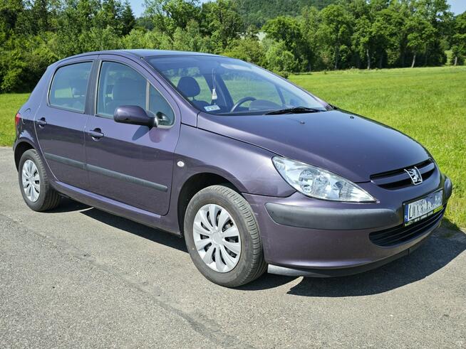 Peugeot 307 1,6 16V Rząśnik - zdjęcie 2