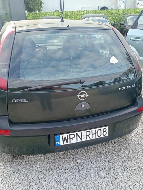 Sprzedam Opla Corse-C Wyszków - zdjęcie 2