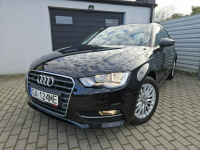 Audi A3 2.0 TDI 150KM quattro BEZWYPADEK 5 drzwi ZADBANY BDB stan
