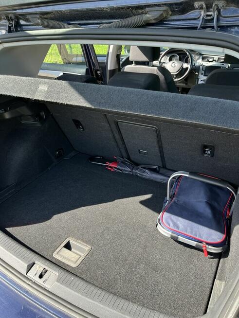 Volkswagen Golf 1.6 TDI świetny stan, brak wkładu Poznań - zdjęcie 6