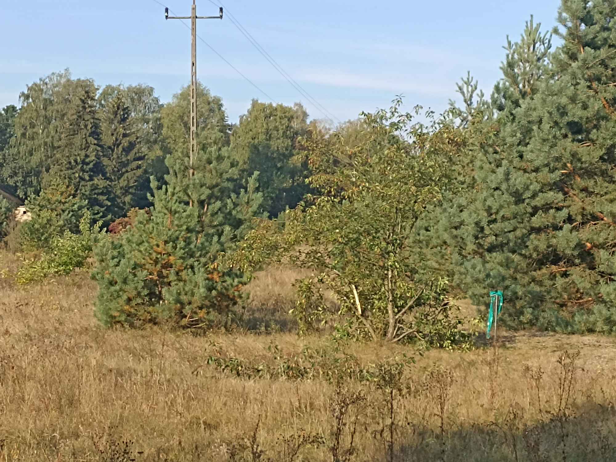 Sprzedam działkę inwestycyjną z warunkami zabudowy 5367 mkw Mława - zdjęcie 7