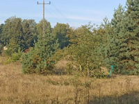 Sprzedam działkę inwestycyjną z warunkami zabudowy 5367 mkw Mława - zdjęcie 7