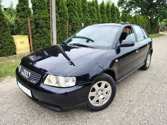 Audi A3 8L LIFT *5drzwi* 1.8 Turbo* 4900zł Ostrołęka - zdjęcie 1