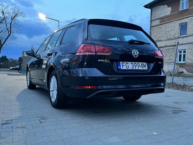 Volkswagen Golf VII 1.0 TSI Alu Klima Tempomat Grzane fotele Gorzów Wielkopolski - zdjęcie 4
