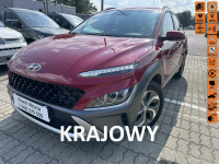 Hyundai Kona Bezwypadkowy kamera cofania