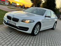 BMW 520 *Salon Polska*Gwarancja*Pełny VAT* Zduńska Wola - zdjęcie 3