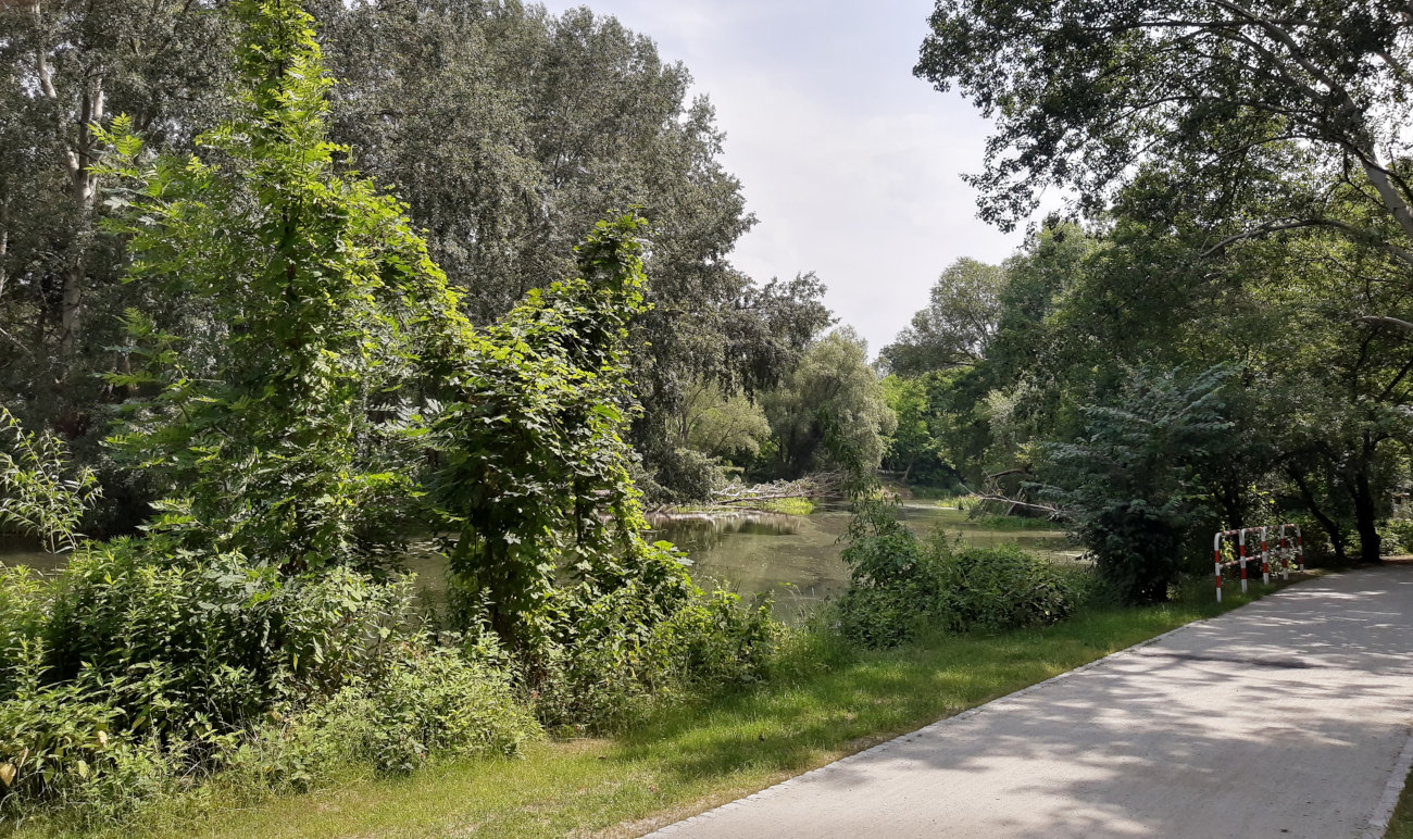 Mieszknie 1 pokojowe z ogrodem, zielonej/ ul.Krakowska, Krzyki Wrocław Wrocław - zdjęcie 7