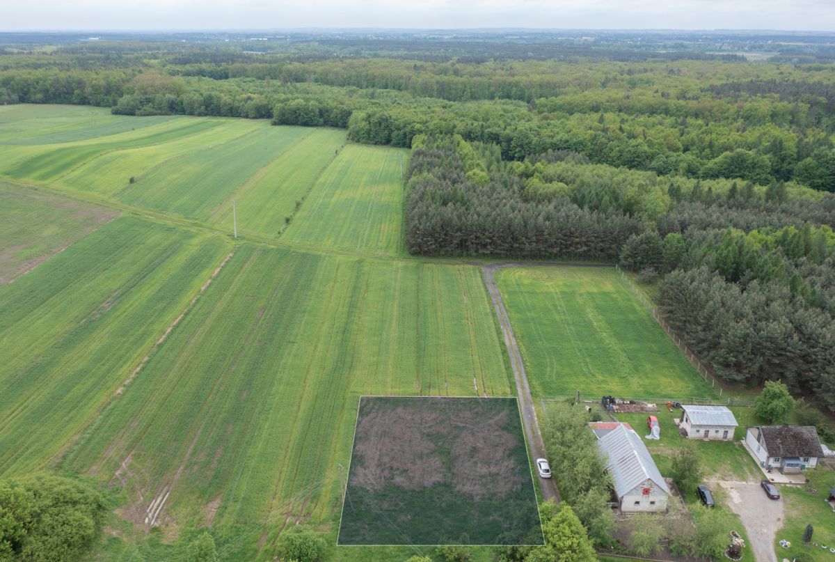 Cisza | Spokój | Las | Budowlana Czerce - zdjęcie 5