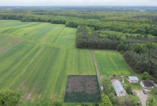 Cisza | Spokój | Las | Budowlana Czerce - zdjęcie 5