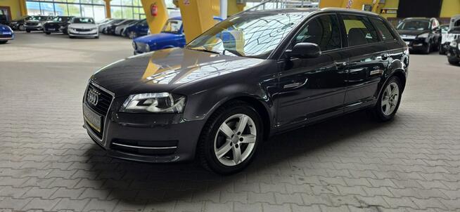 Audi A3 ZOBACZ OPIS !! W podanej cenie roczna gwarancja Mysłowice - zdjęcie 4