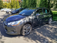 Citroen ds4 Psie Pole - zdjęcie 12