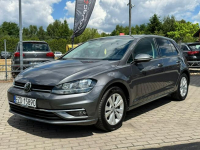 Volkswagen Golf Zduńska Wola - zdjęcie 10