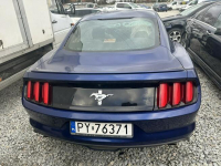 Ford Mustang Komorniki - zdjęcie 7