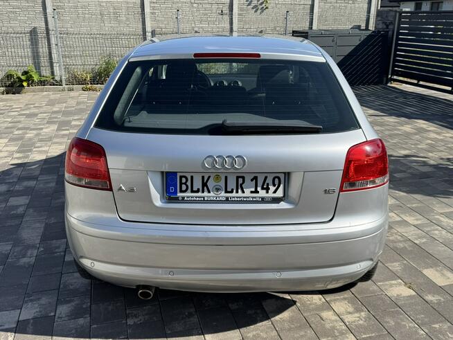 Audi 3 1,6 mpi 102 Konie Xenon tylko 155 tys km Śliczna ! Szerominek - zdjęcie 12