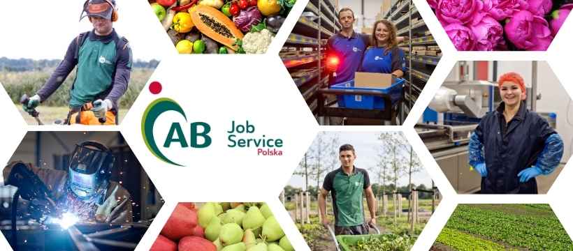 Pracownik utrzymania zieleni miejskiej – praca w Holandii (M/K) Bydgoszcz - zdjęcie 1