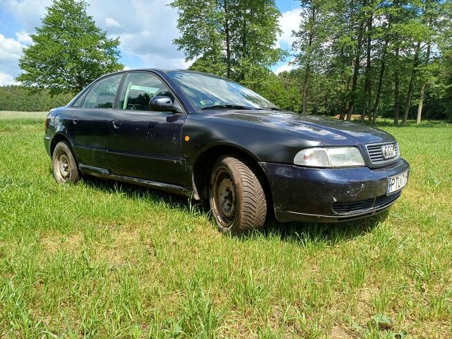 Sprzedam a4 b5 Cisew - zdjęcie 2