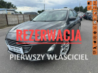 Ford Focus Salon Polska fv23