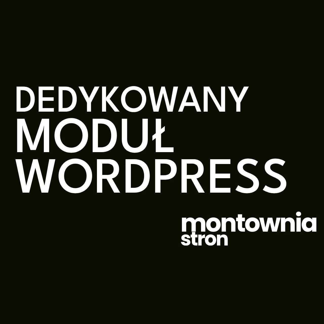 Programista WordPress/WooCommerce - wtyczki na zamówienie Krowodrza - zdjęcie 1
