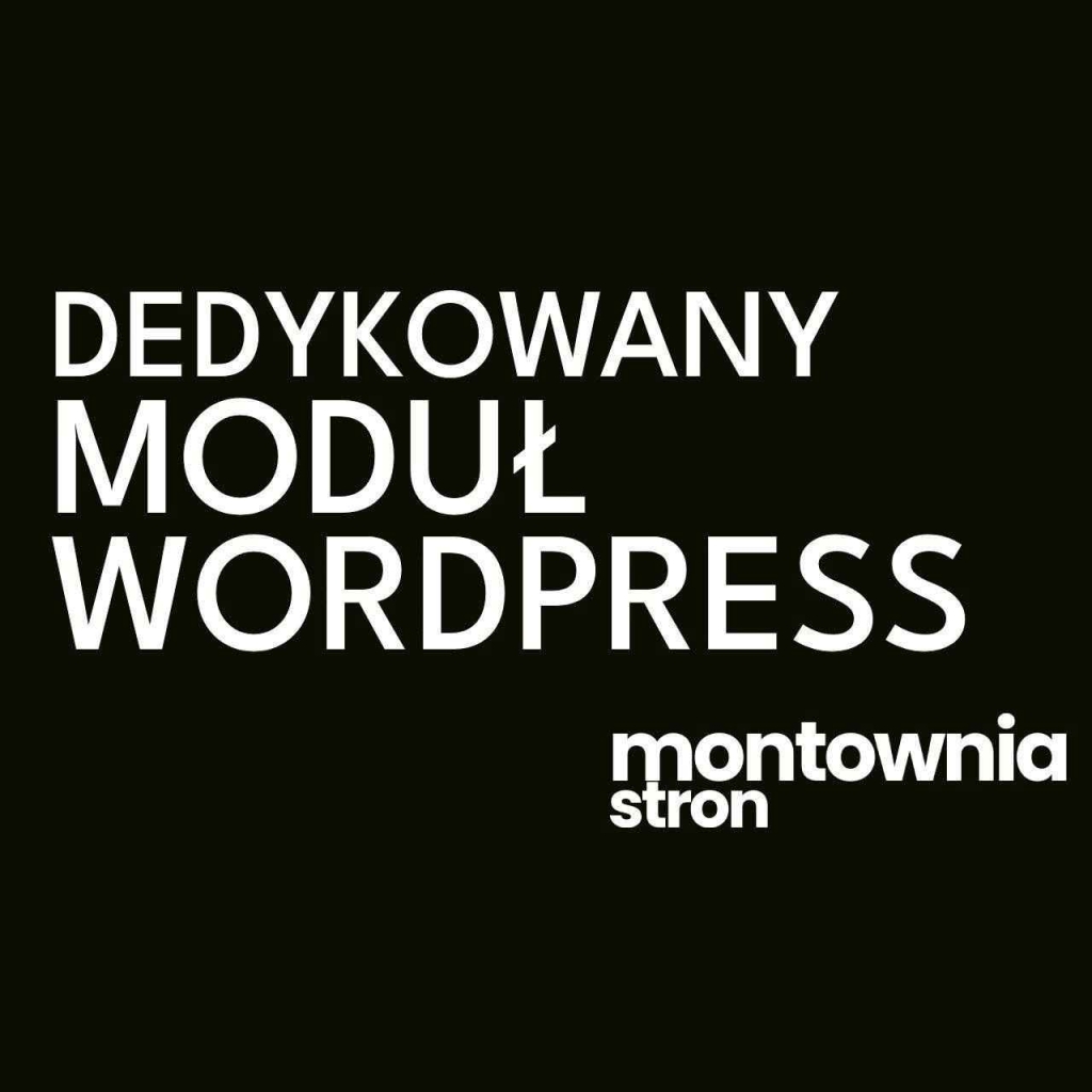 Programista WordPress/WooCommerce - wtyczki na zamówienie Krowodrza - zdjęcie 1