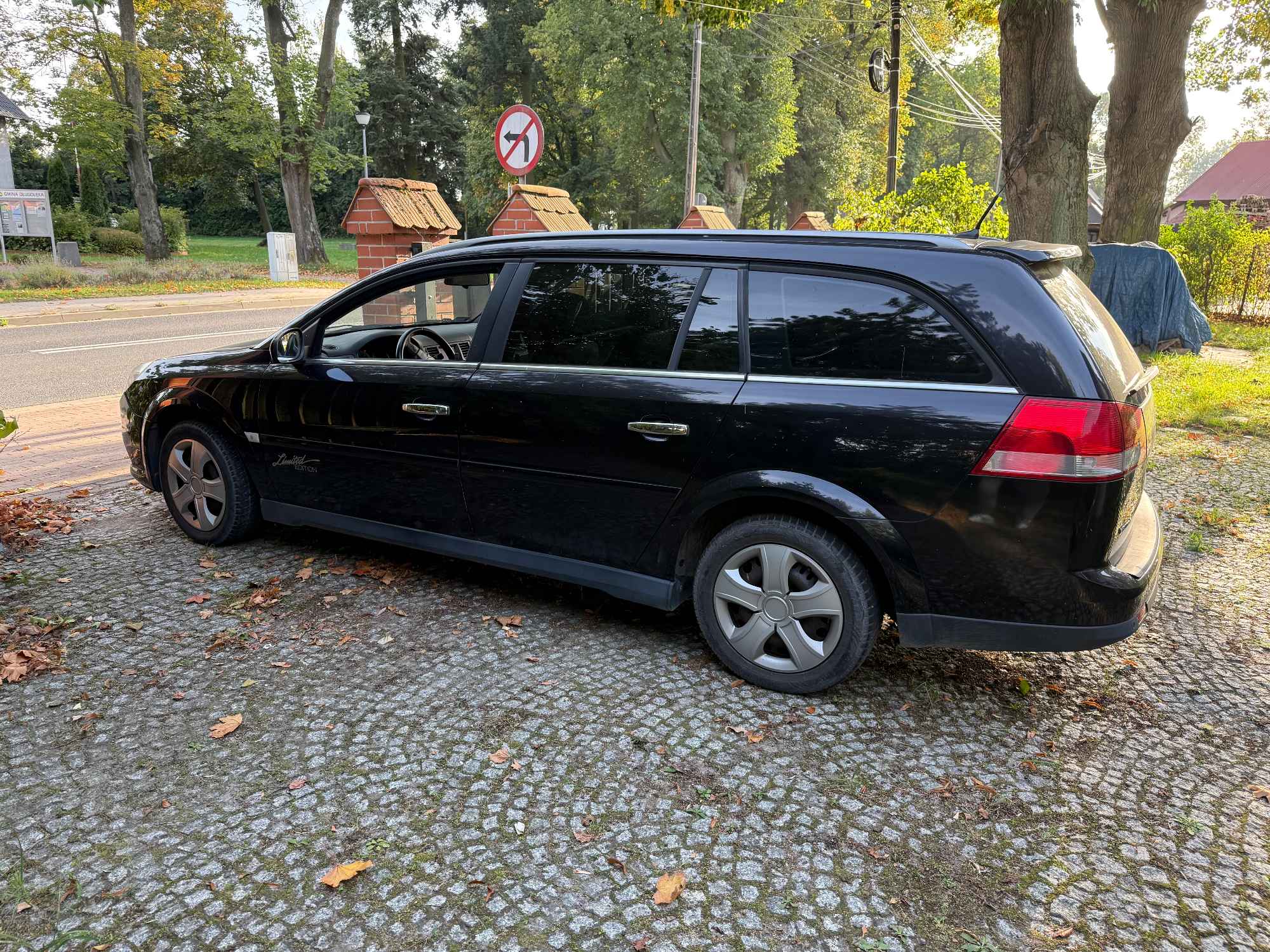 Opel Vwctra 1.9 D Psie Pole - zdjęcie 2