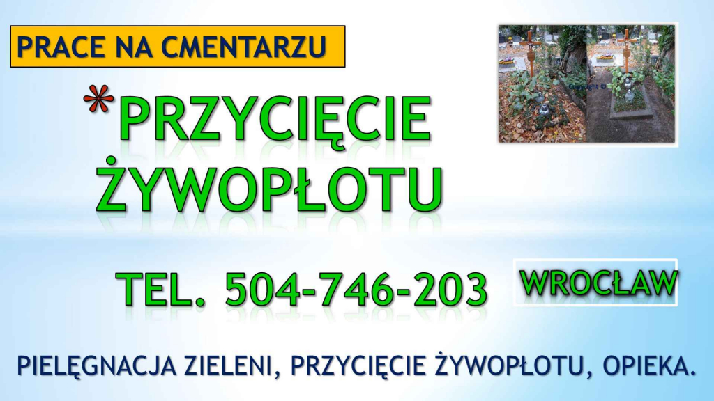 Sprzątanie grobów, grobu t 504746203,cmentarz Wrocław,opieka na grobem Psie Pole - zdjęcie 10