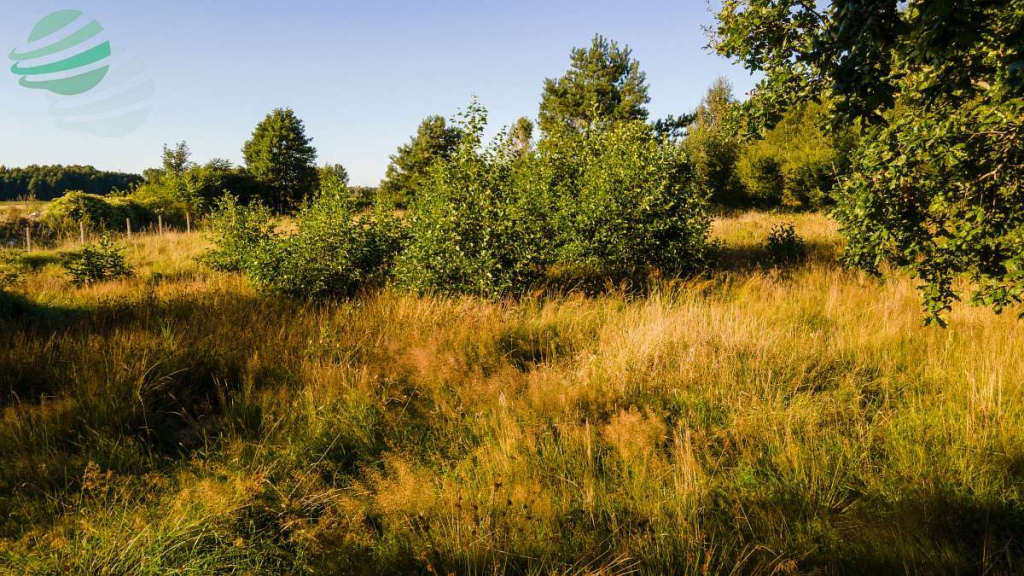 Działka budowlana 1302 m² z pozwoleniem na budowę Rusko - zdjęcie 5