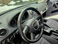 Audi A3 Lift 1.9 TDI DSG 5 Drzwi Serwis Zagnańsk - zdjęcie 9