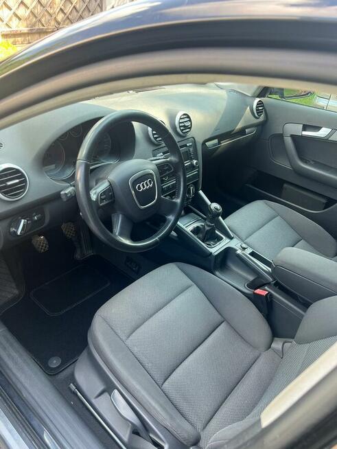 Audi A3 8P 2.0 TDI 140KM 2011, bogata wersja Kraśnik - zdjęcie 7