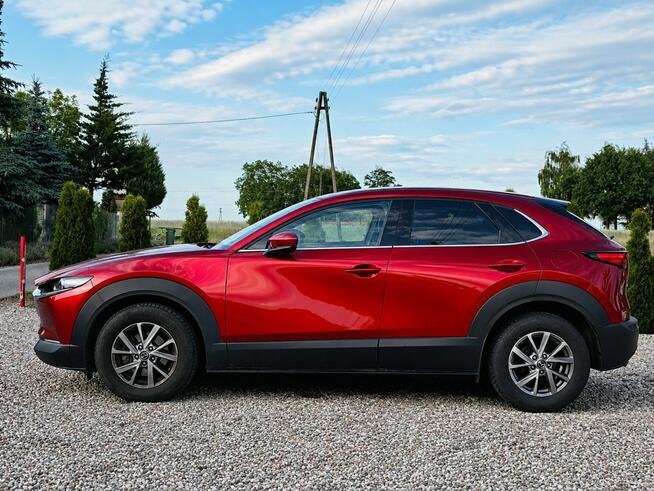 Mazda CX-30 Sadlno - zdjęcie 5