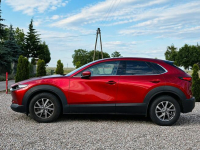 Mazda CX-30 Sadlno - zdjęcie 5