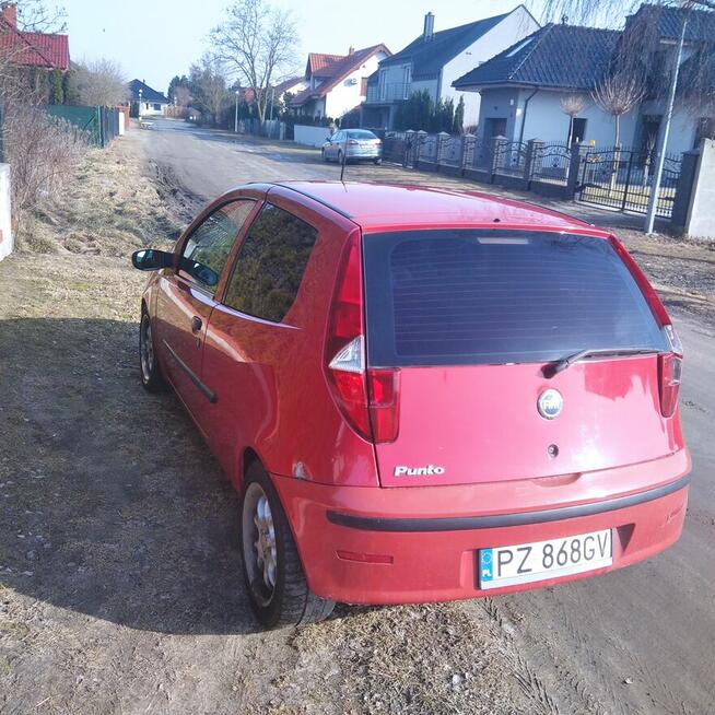 sprzedam Kostrzyn - zdjęcie 5