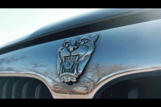 Jaguar X-Type | Sprawny, Zadbany, Bogato wyposażony Siedlce - zdjęcie 12
