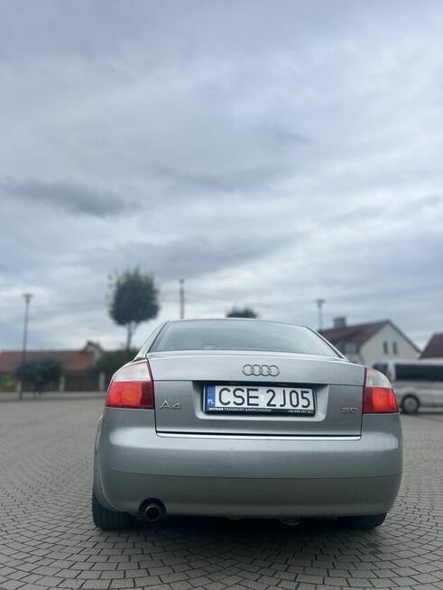 Audi A4 Brusy - zdjęcie 3