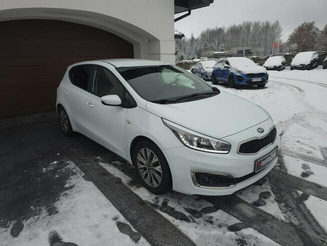 Kia Cee'd Bogate wyposażenie | Niski przebieg Żarki - zdjęcie 2