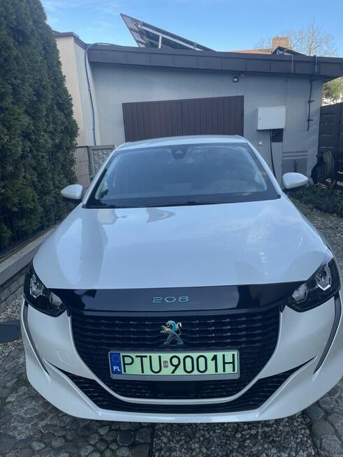 Sprzedam Turek - zdjęcie 1