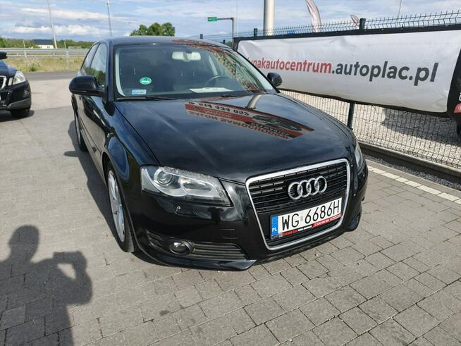 Audi A3 jak nowy Lipówki - zdjęcie 3