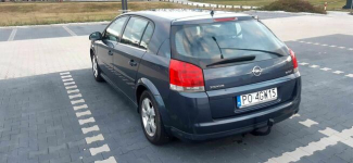 Opel Signum 1.9 CDTI 150km Poznań - zdjęcie 3