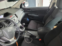 SPRZEDAM Pionki - zdjęcie 5