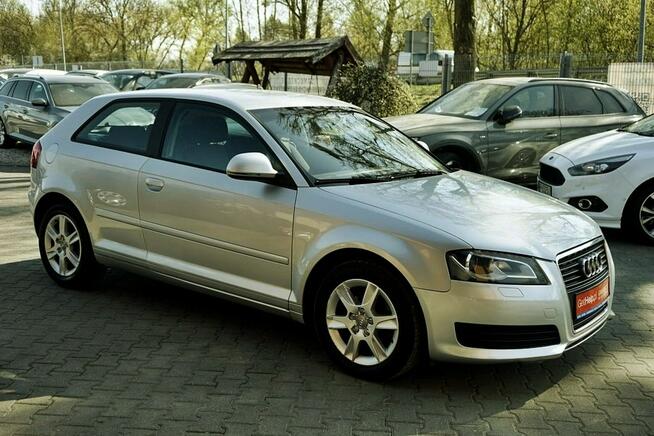 Audi A3 1,6TDI Klima, alu, Xenony, 2009r. Płock - zdjęcie 12