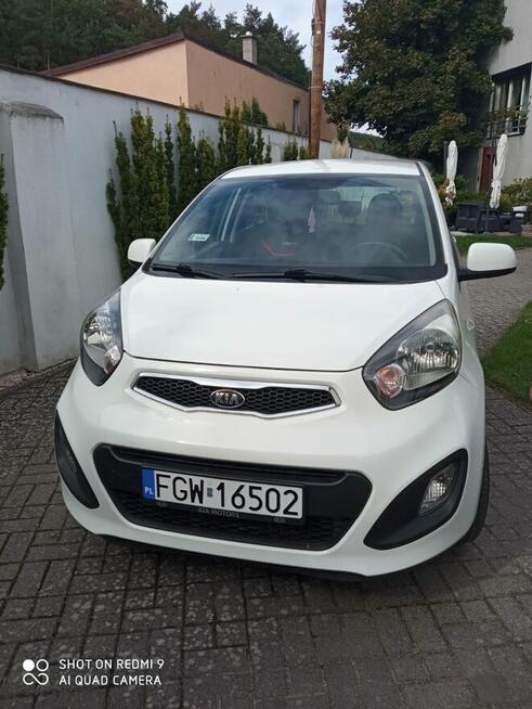 Sprzedam Kia Picanto II, 1,0 benzyna 2013 r. Przebieg 64.500 Bogdaniec - zdjęcie 1