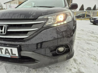 Honda CR-V Super stan*Oryginał Bydgoszcz - zdjęcie 7