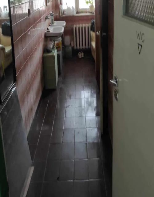 Lokal na wynajem Zielonka Zielonka - zdjęcie 6