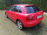 Audi Zboże - zdjęcie 7