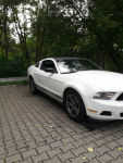 Ford Mustang 3.7 V6 Cyclone 305 KM | Bogata wersja PREMIUM | Katowice - zdjęcie 11