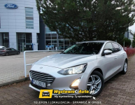 Ford Focus Telefon: 790_450_394 Lokalizacja: Buk Buk - zdjęcie 2