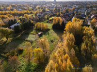 Kameralna okolica | Krakowska | WZ | Zieleń Rzeszów - zdjęcie 7