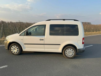 VW Caddy 1,6 TDI 75 KM 5-Osobowy Grójec - zdjęcie 12