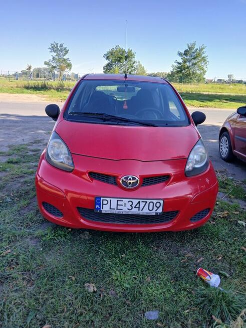 Sprzedam Kłoda - zdjęcie 5