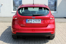 Ford Focus 120KM SalonPL LED Tempomat Kamera Parktronic Podgrz.Szyba Sokołów - zdjęcie 5