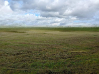 Działka z WZ Borsukówka gm. Dobrzyniewo Duże Borsukówka - zdjęcie 4